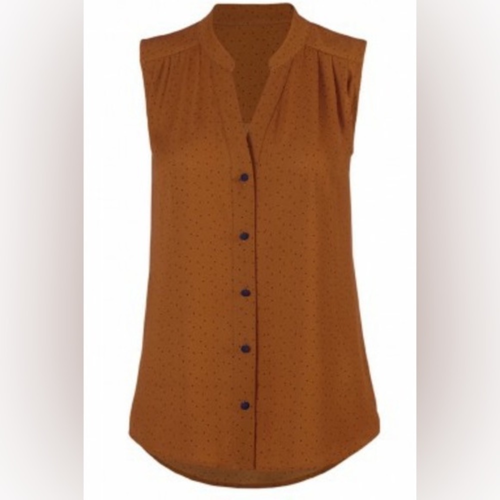 CAbi Fall 20 Dotty Top size large